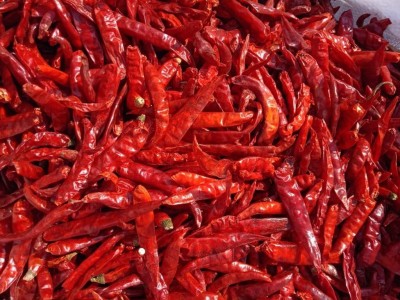 Kurutulmuş Acı Biber Kurutulmuş Acı Biber
