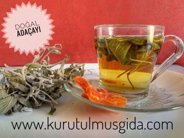 DOĞAL ADAÇAYI DOĞAL ADAÇAYI